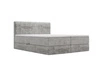 Boxspringbett mit Bettkasten 120x200 Forte Hellgrau